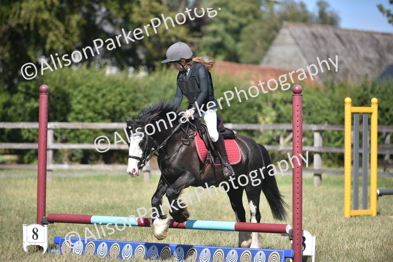 20260906-1689 - Class 9 - Absolute Novice Jumping 45cm