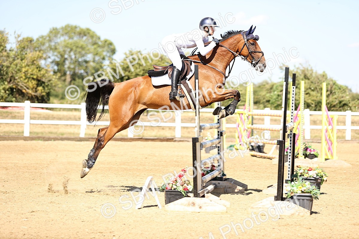 SBM_015645 - Class 16 - Senior foxhunter - 1.20m Open