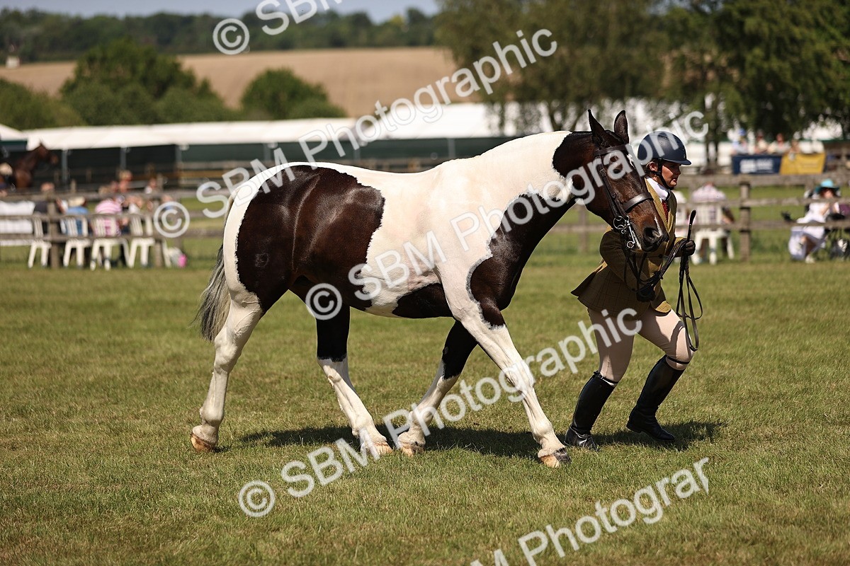 SBM_17931 - Class 81-83 - TSR Ridden Amateur of the Year - Horses