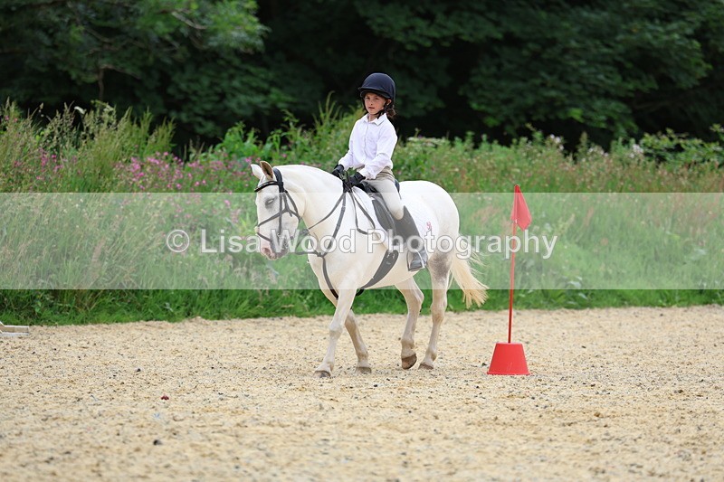 3E7A9602 - Walk trot run