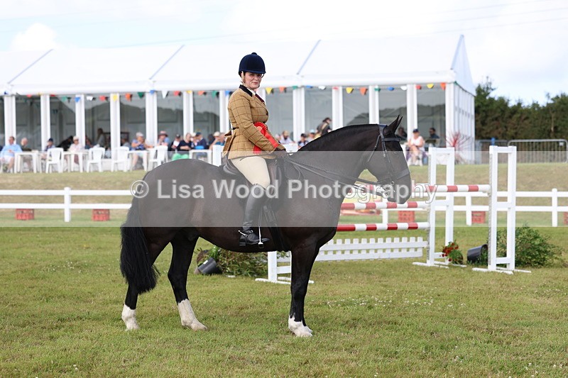 3E7A0113 - Class 5: Rising Star Lightweight/Heavyweight Cobs