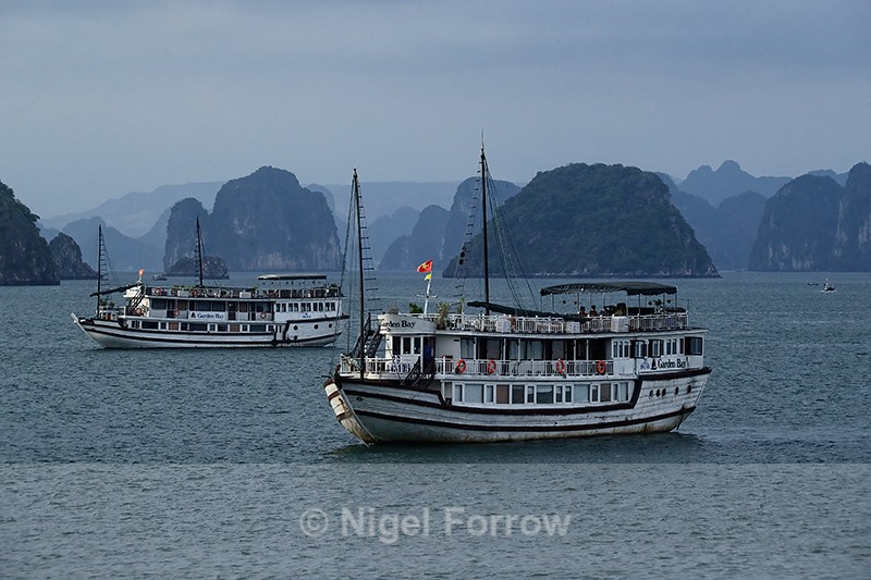 Tourist boats anchored in Ha Long Bay at sunset - Vietnam