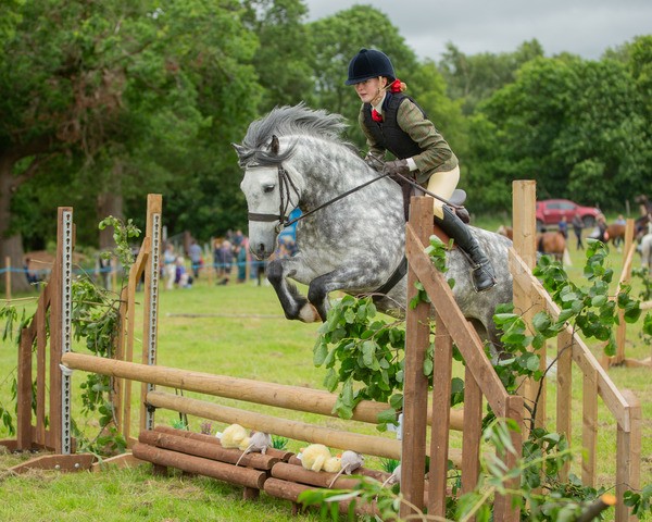 Dunblane show-616 - Dunblane and Doune Show Ring 1