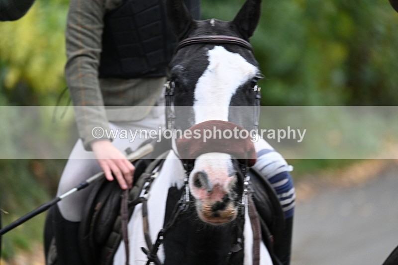 WJ7_7276 - Walk Home..