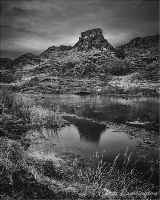 The Fairy Glen - Landscapes - Mono