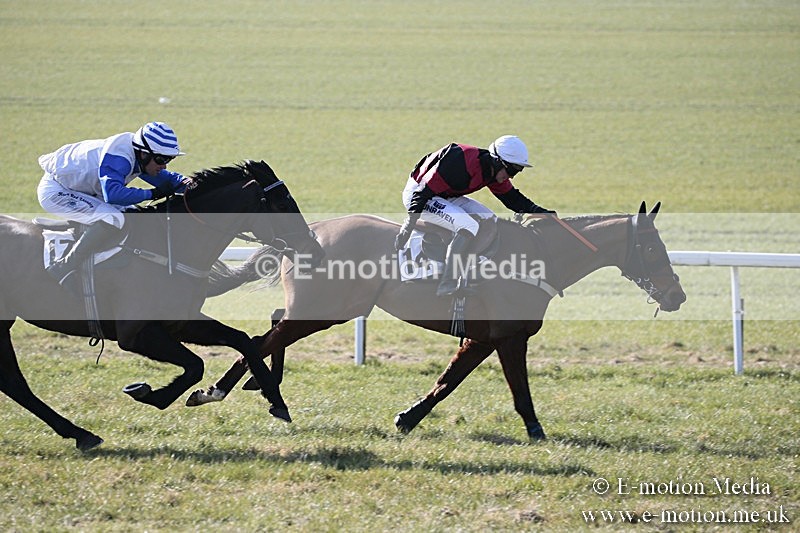 PtP 240218 67 - Vine & Craven Hunt Point-to-Point Barbury racecourse 24/02/18