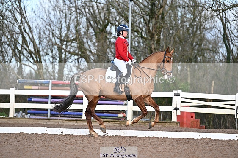 241214-101150-01116 - 108-Pippa.Knight-KFS.Boston.Burglar