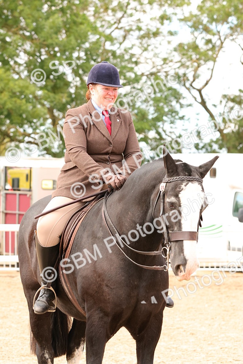 SBM_15574 - Class 214 - Ridden Show Cob