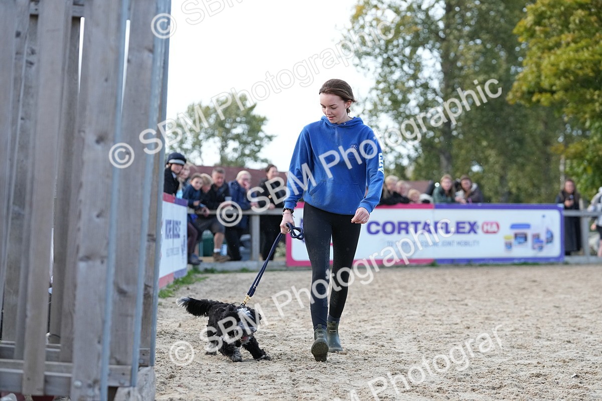 SBM_29168 - J43 - Horse & Hound Open 50cm