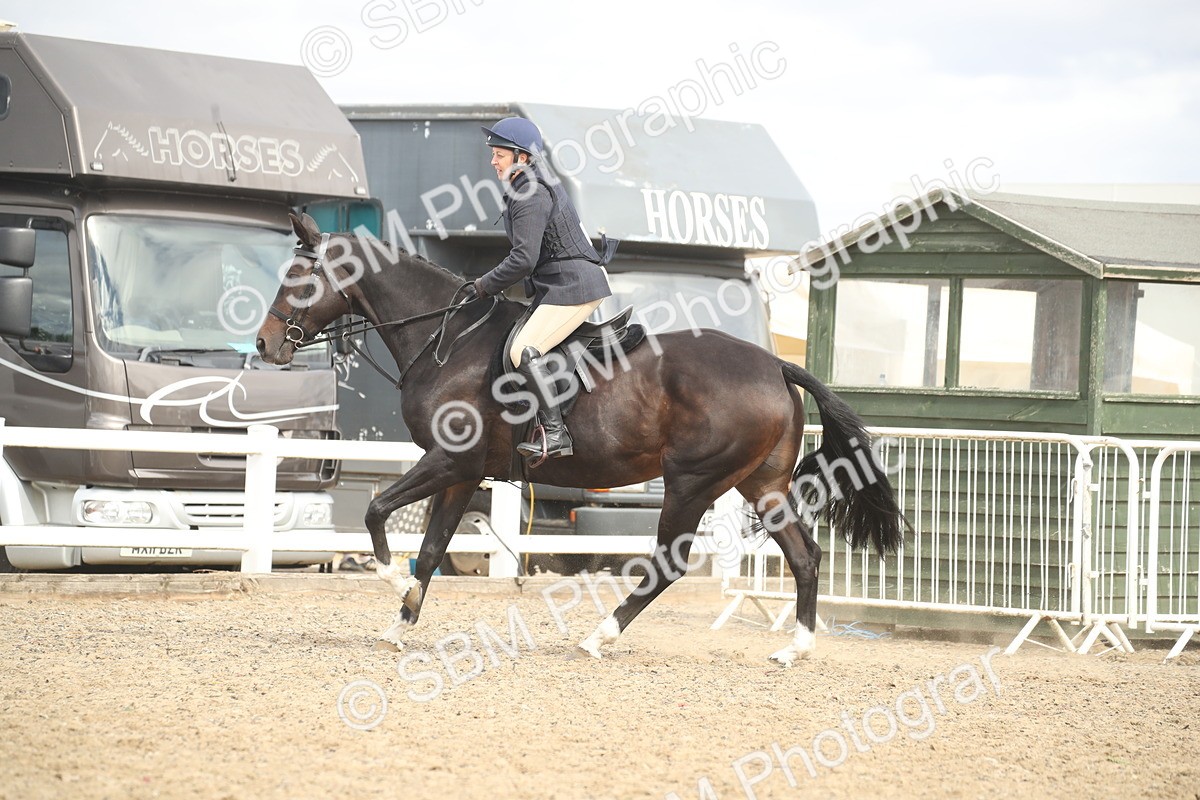 SBM_17828 - Class 508b - Working Veteran 70cm (20+)