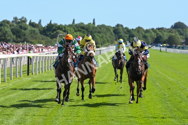 120725-Race 5-Amazing Journey-5896 - Race 5 4.15pm John Smith's Nursery Handicap