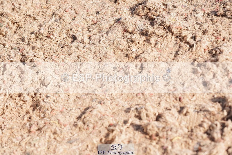 250510-083514-09565 - Cls 13 Snr Foxhunter