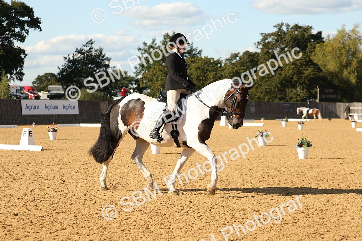SBM_26823 - D17 - Grand Tour Championship - Novice 27