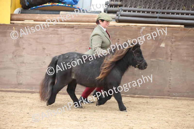 20251109-0231 - Class 11 - 2 and 3 Year Old