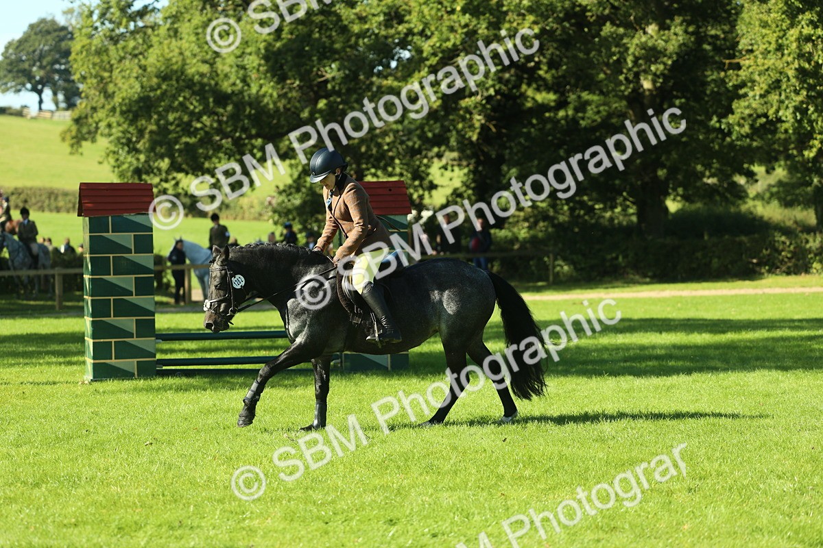 SBM_36470 - S29 - Novice & Newcomers Working Hunter Pony