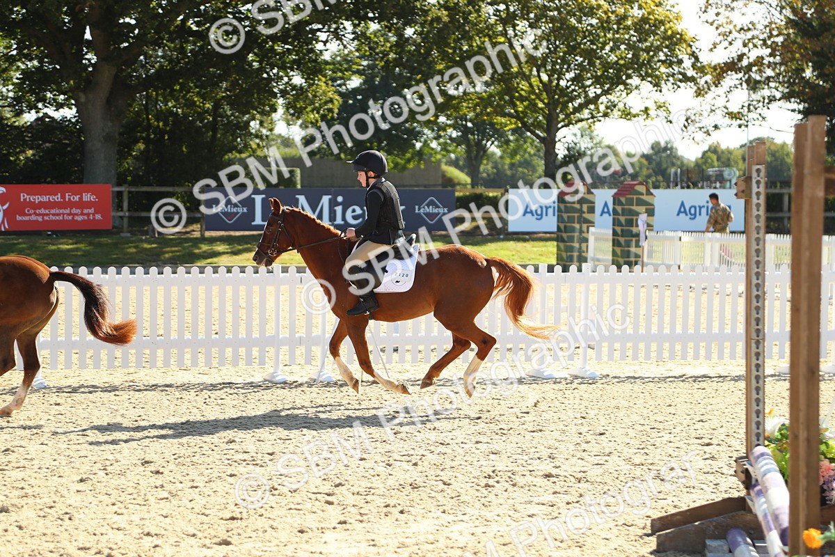 SBM_36076 - J5 - Junior Pony 50cm Championship