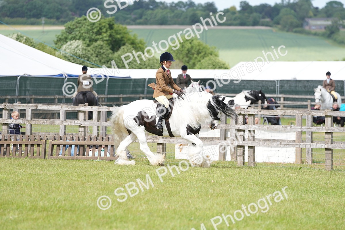 SBM_17243 - Class 107-108 - LIHS BSPS Performance Coloured Horse Pony