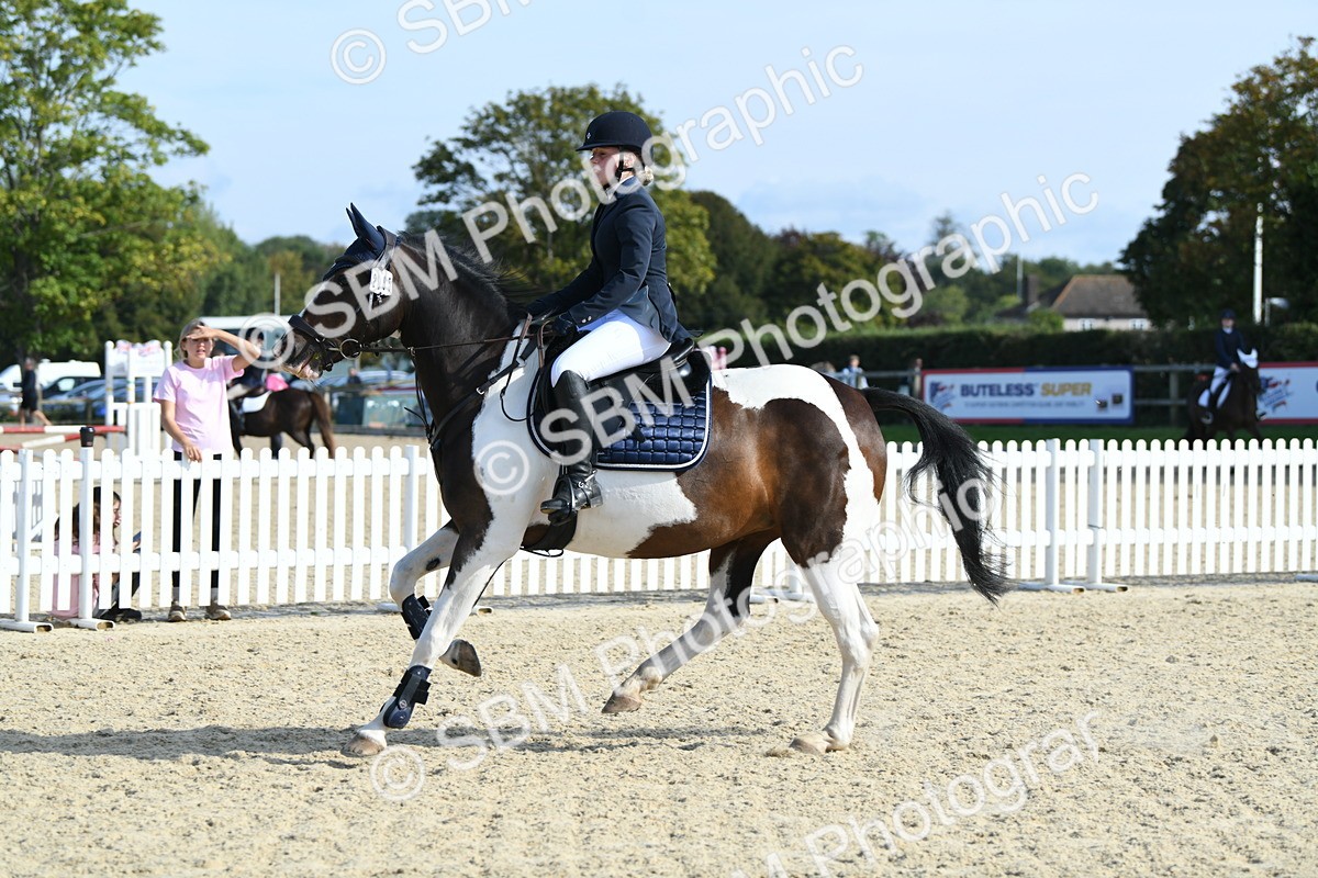 SBM_61556 - j25 - Junior Horse 80cm Championship