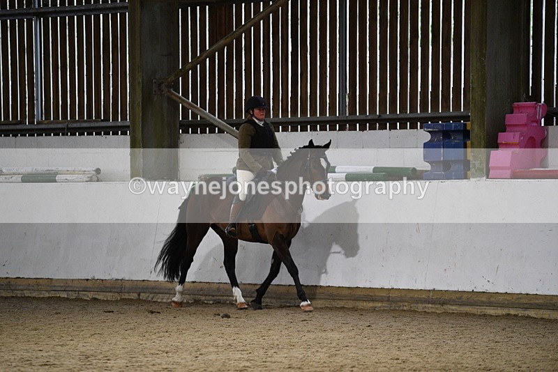 WJ5_8340 - Class 14 Novice Ridden/Rider