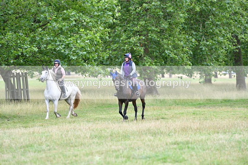 WJ5_1288 - Time at Jump 12:20 to 13:01