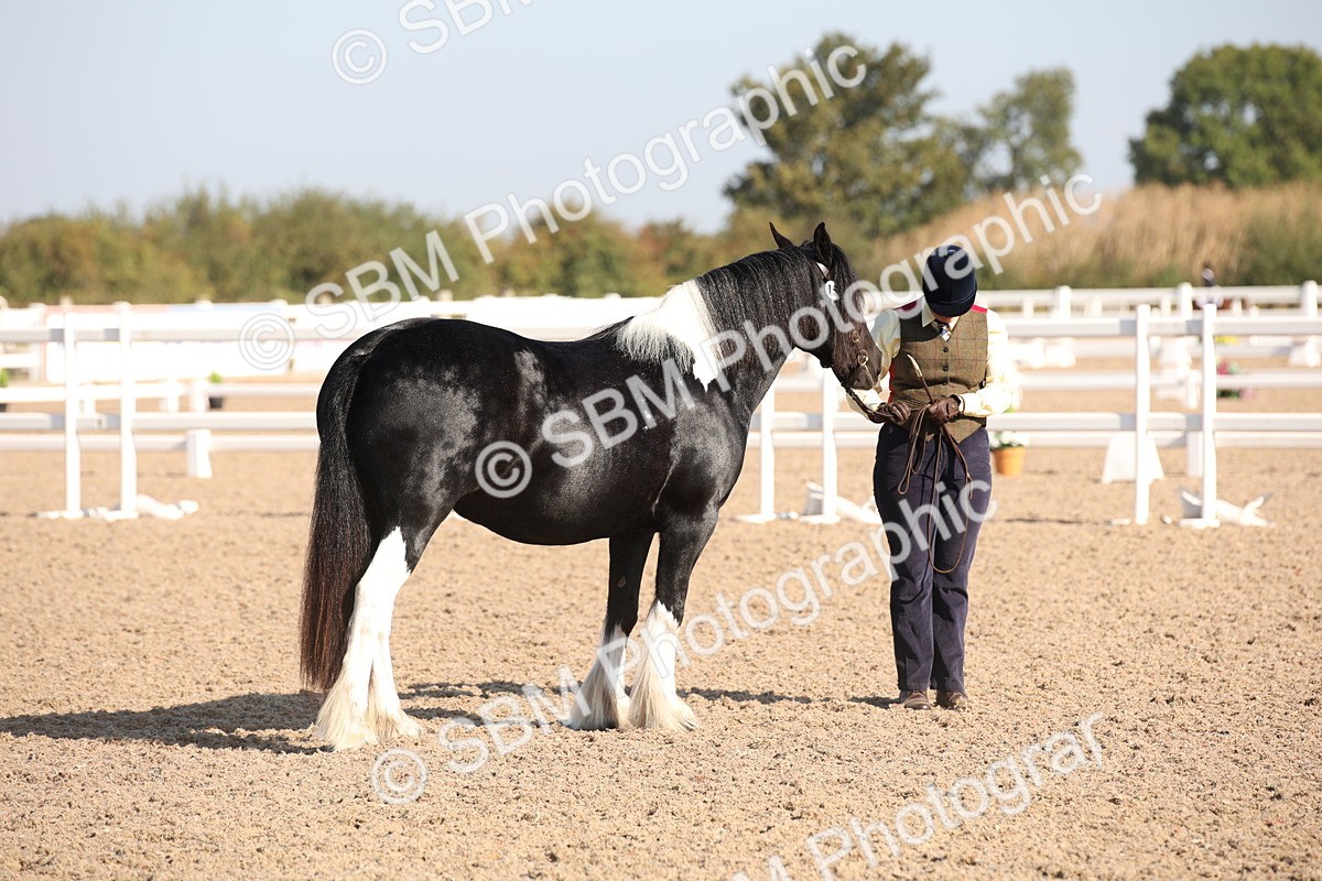 SBM_01480 - Class 15 IH Coloured