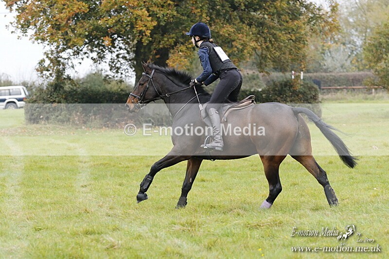 WWHT 181020 WWHT 181020 541 - WWEC Open Novice (0.80m) 18/10/20