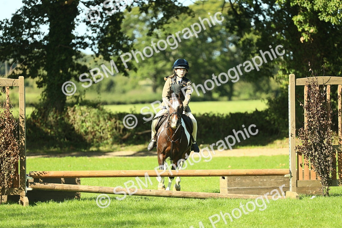 SBM_37530 - S29 - Novice & Newcomers Working Hunter Pony