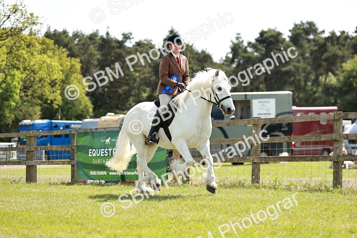 SBM_07227 - Class 26-30 - Mountain and Moorland Ridden