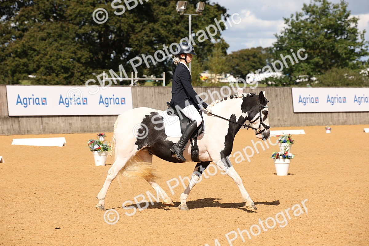 SBM_06643 - D8 Small Tour Championship Prelim 7