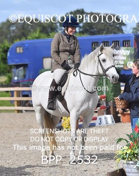 BPP_2532 - DERBY CLASS 7 - 80CM