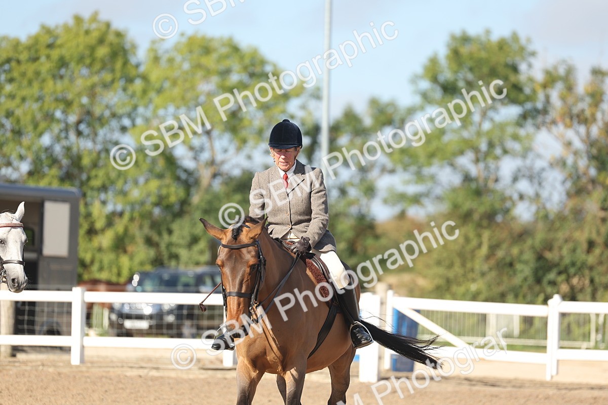 SBM_22328 - Class 803 - Ridden Combination 65+
