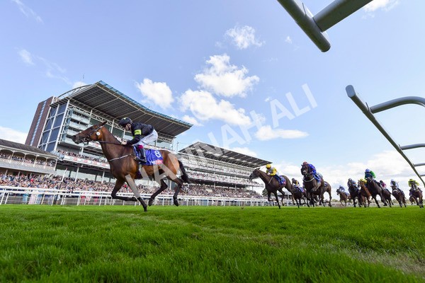 240824-Race 4-Magical Zoe-4578 - Race 4 3.35pm Sky Bet Ebor Handicap