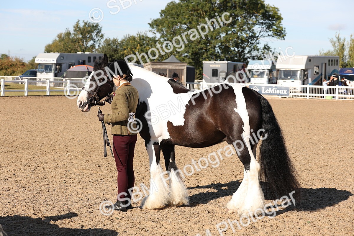 SBM_11762 - Class 204 - Young Handler 11 to 16 years