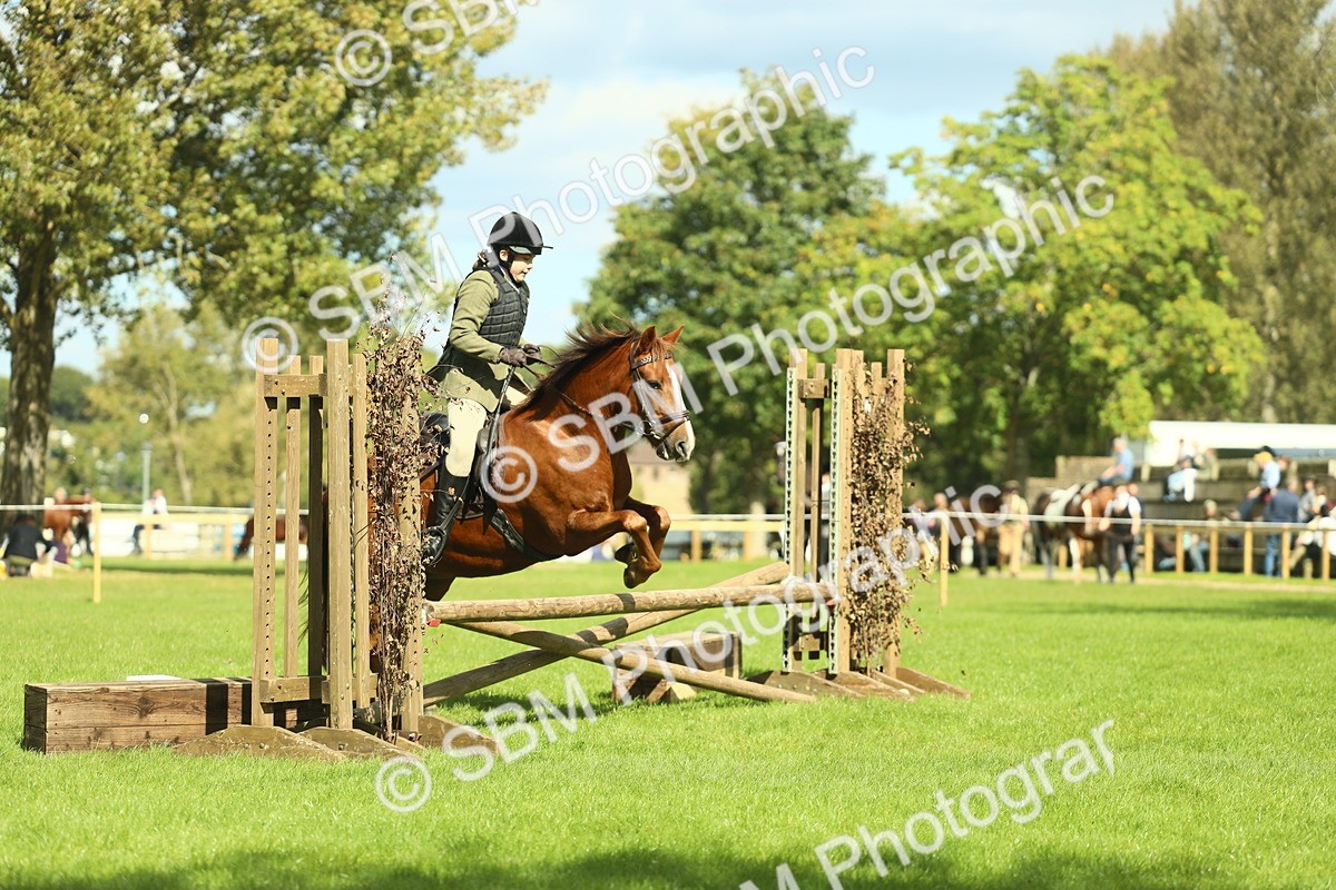 SBM_42885 - S30 - M&M Working hunter Pony