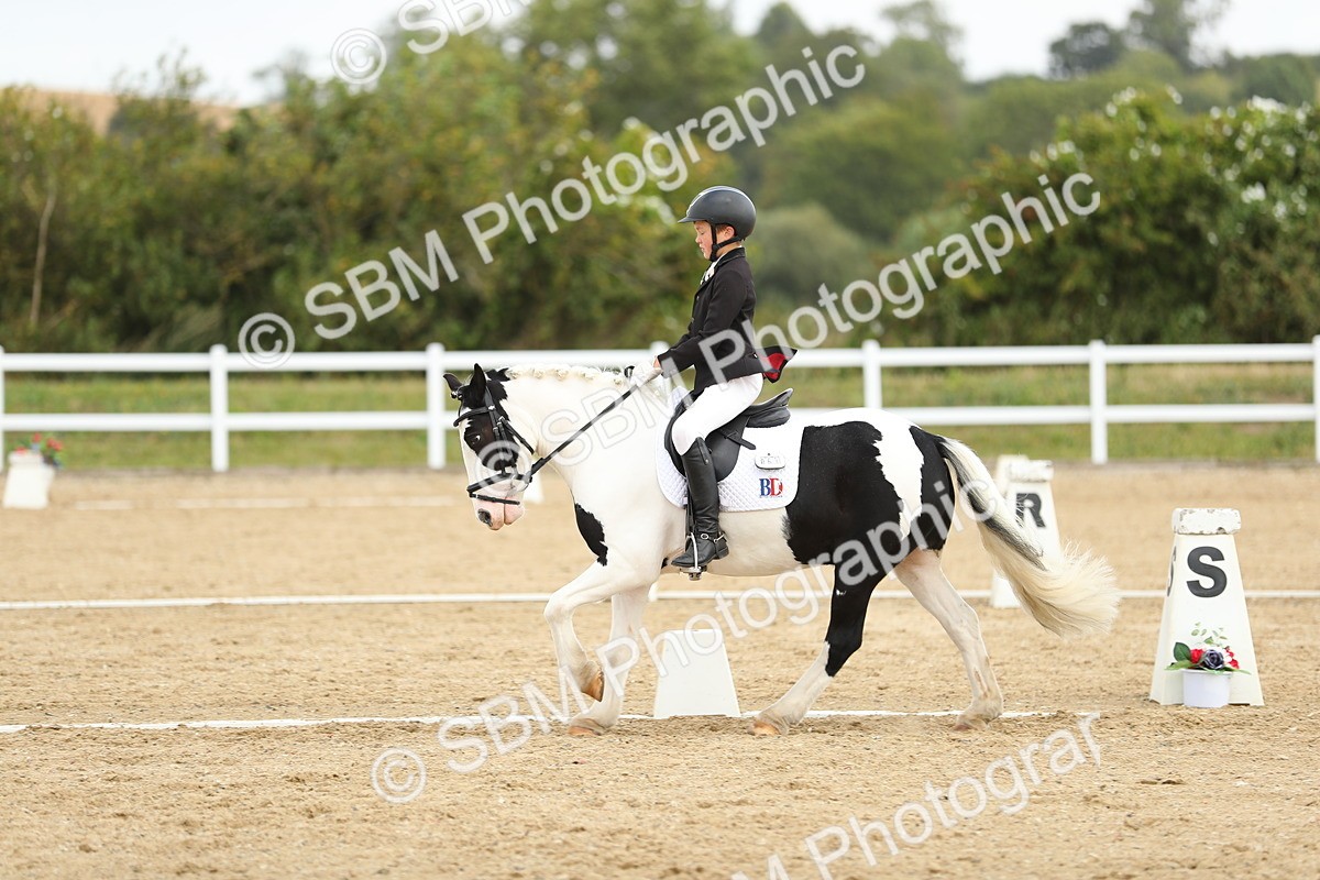 SBM_016344 - Class 13 - Novice 23 - 11.25-12.35