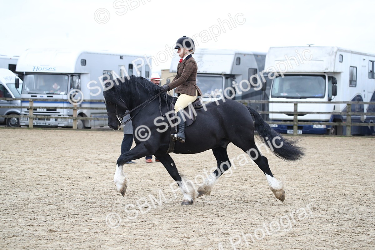 SBM_006382 - Class 10-13 - RIHS Small Large Breeds