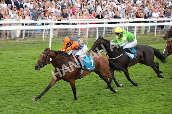 yr23072022r7-19 - Race 7 5.35pm Sky Bet Paying Extra Places Stakes