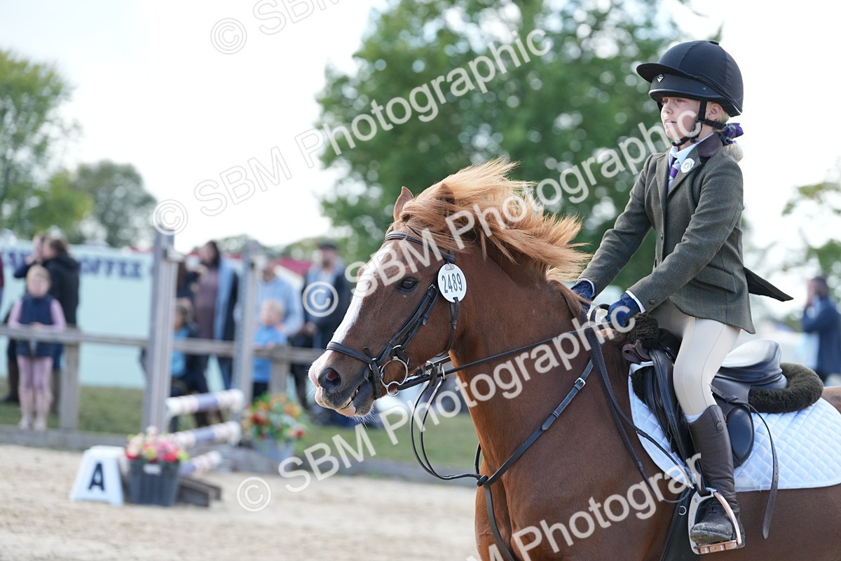 SBM_46731 - J7 - Junior Pony 60cm Championship