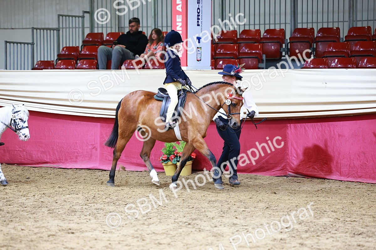 SBM_23671 - Class 905 - Supreme Final - Ridden Veteran