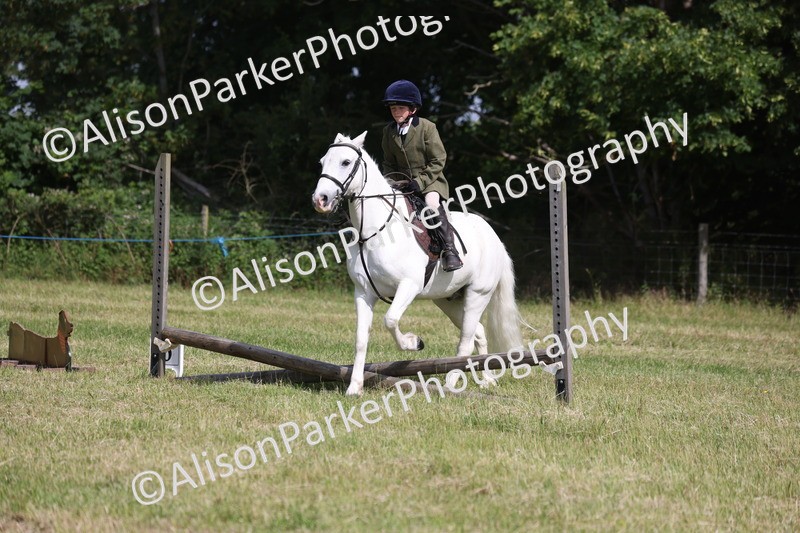 20260614-0651 - Class 20 - Beginners Working Hunter Pony