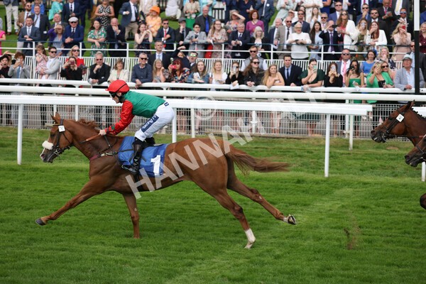 yr10062022r5-26 - Race 5 4.05pm Irish Thoroughbred Marketing Stakes