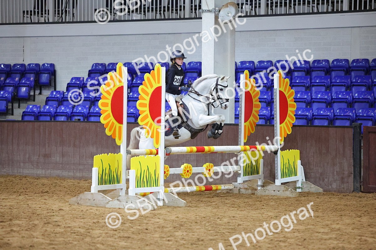 SBM_002061 - Class 5 - Show Jumping 80cm