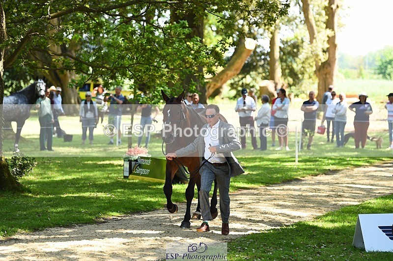 230524-151146-00118 - 354-TREWORDER-Michael_Owen-WEDTrotUp+DR