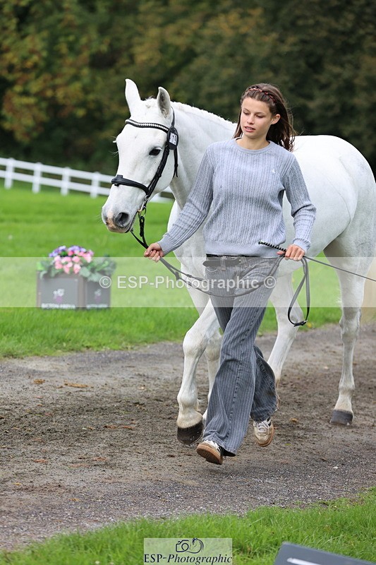 251026A-113656-25567 - F-479-Poppy.Wellman