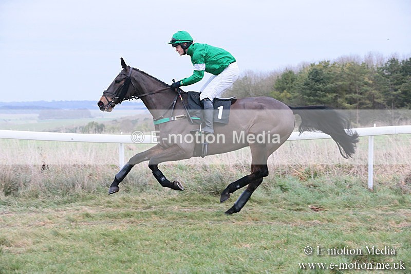 PtP 060119 301 - Larkhill Racing Club - Point-to-Point- 06/01/2019