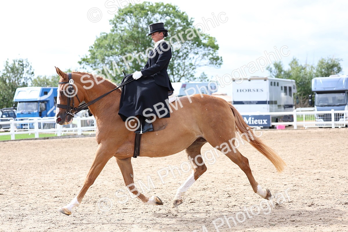 SBM_03451 - Class 24 - SSA Concours d'elegance (any age)
