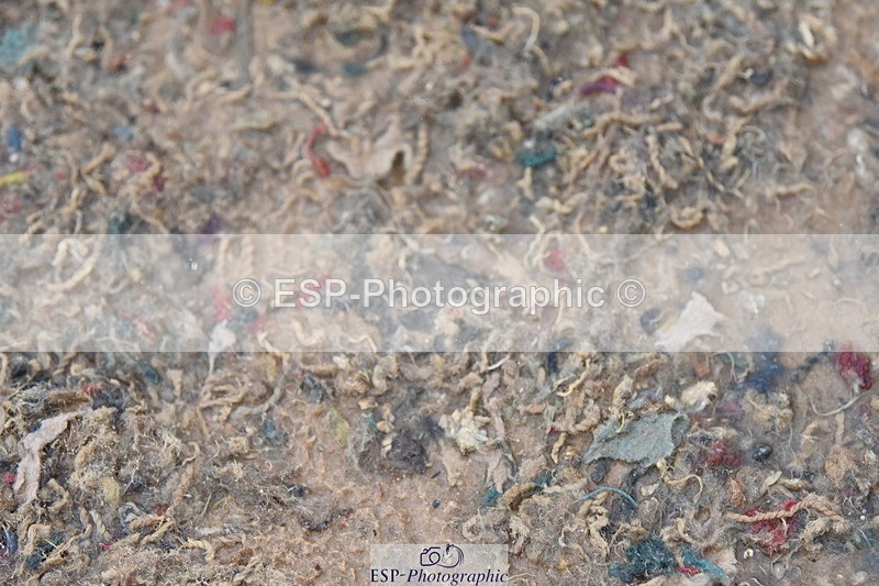 230917A-110526-06405 - Cls 33 British Novice & 90cm Open