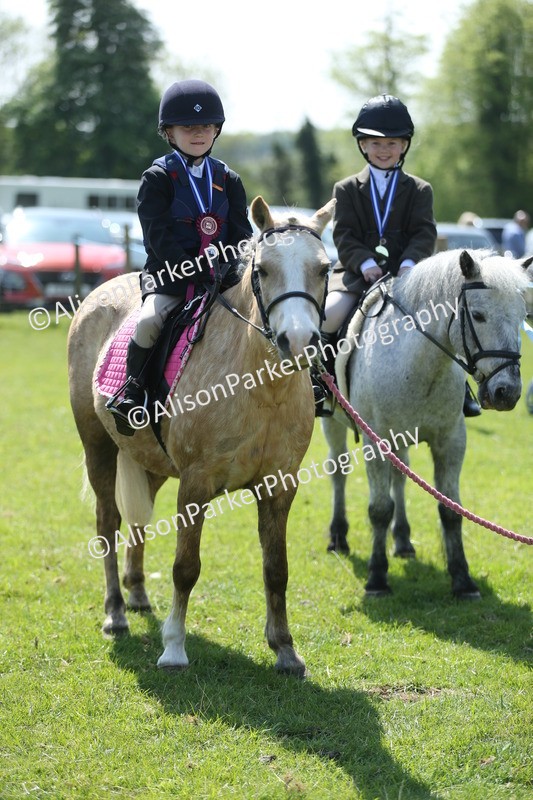 20250427-2776 - Class 6 - Pony Judge Would Most Like To Take Home