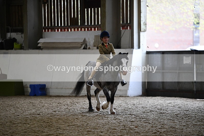 WJ5_6873 - Class 10 Childs Pony