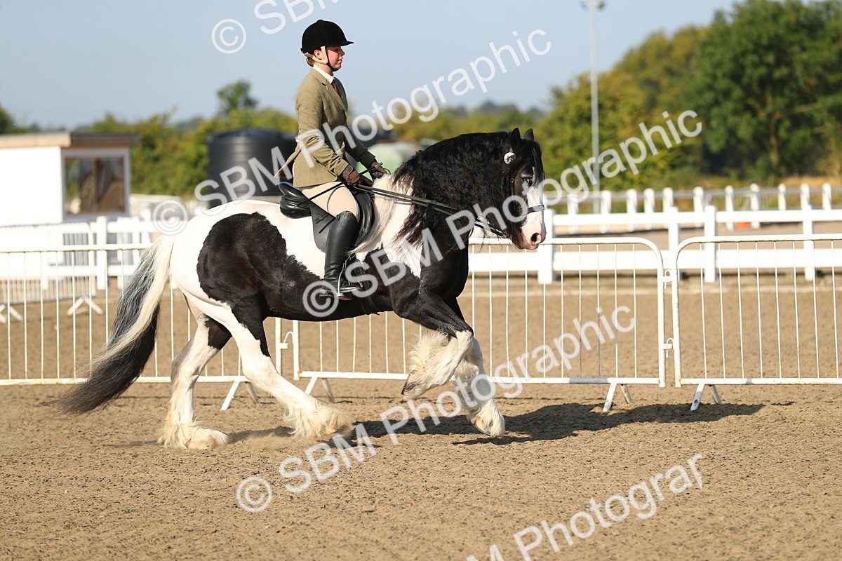 SBM_01126 - Class 42 Ridden Veteran